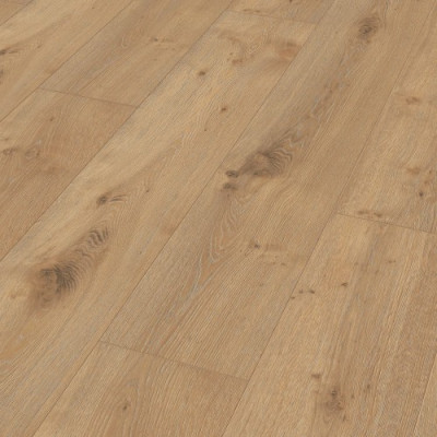 6843 Дуб полевой светлый Ламинат MEISTER LD 250